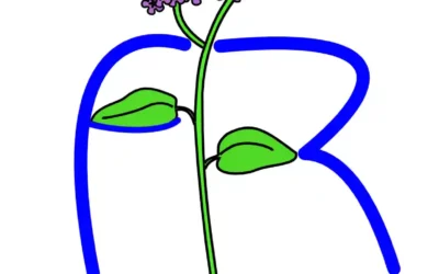 Appel à projet jeunes