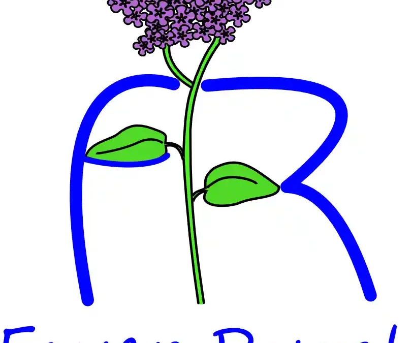 Appel à projet jeunes